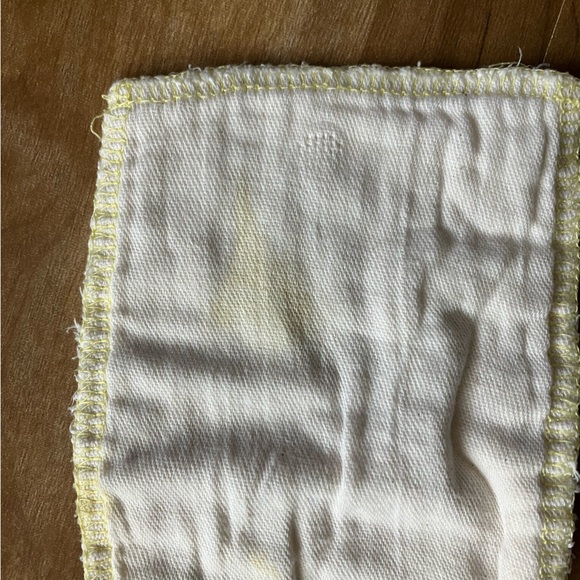 Linteum Textile Fitted Cloth Diapers with Adjustable Snaps and Removable Inserts - Picture 3 of 3